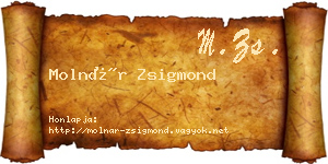 Molnár Zsigmond névjegykártya