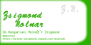 zsigmond molnar business card